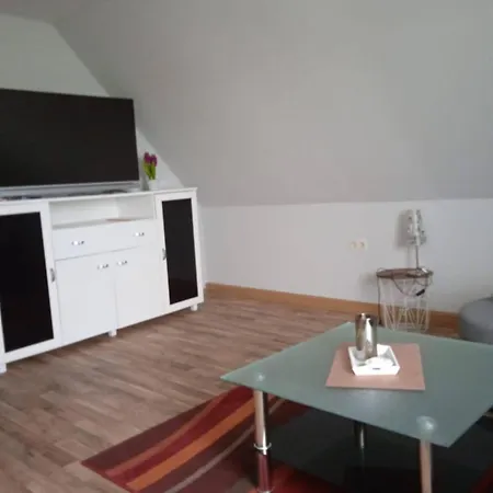 Kletterrose Appartement